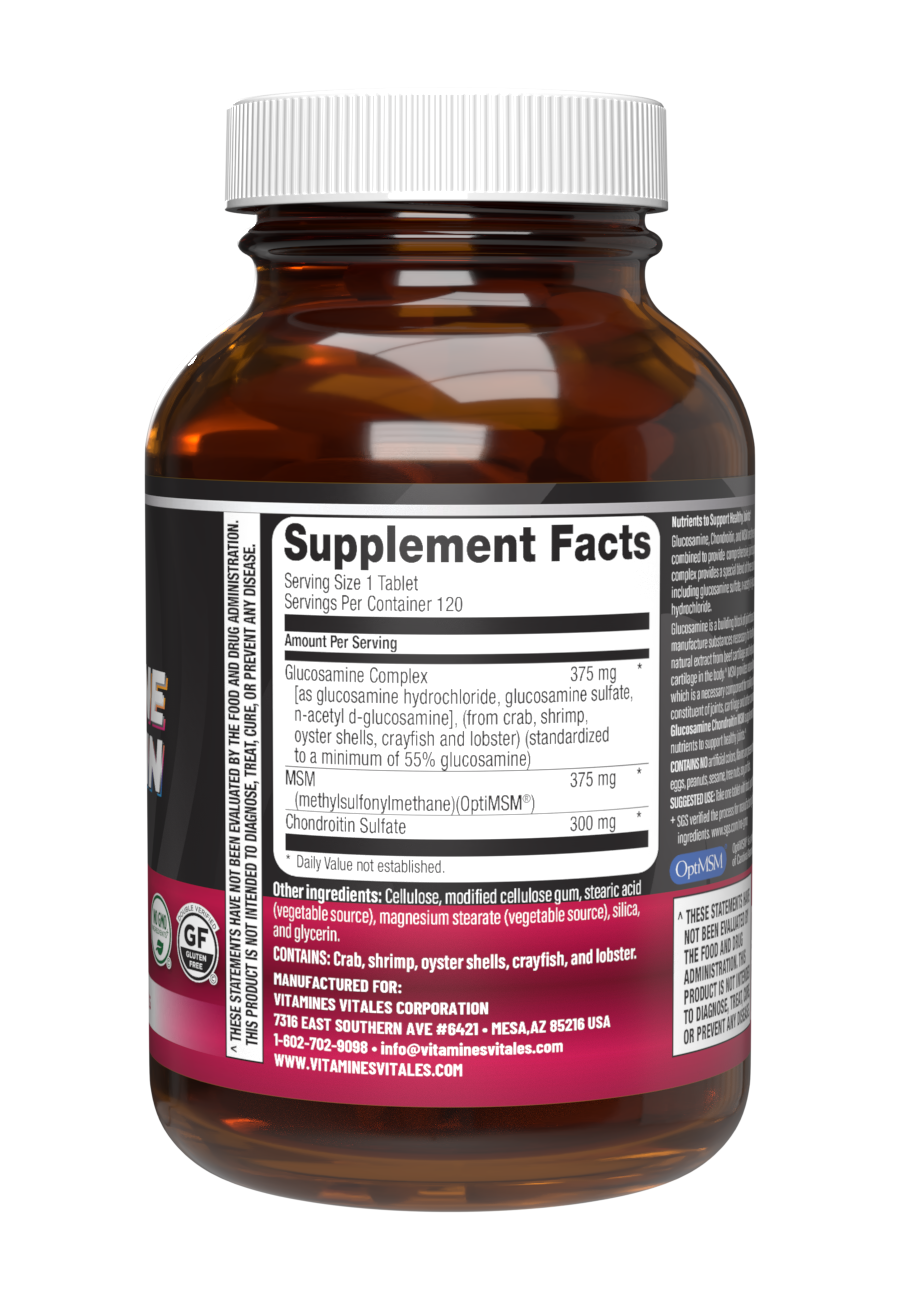 Glucosamine Chondroitin MSM
